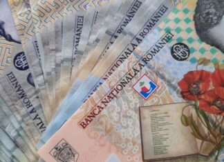 Ministerul Familiei : Se reiau creditele acordate studenților și tinerelor familii