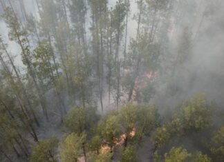 Un nor radioactiv din Ucraina se îndreaptă spre nordul Mării Negre Sursă foto: Facebook/Radio Eco Natura