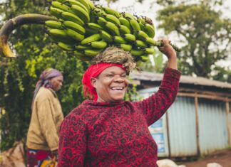 Tone de cocaină ascunsă într-un transport de banane cu destinația Belgia Sursa foto: Pixabay
