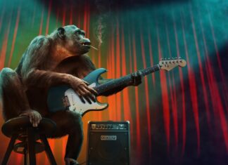 Limbajul cimpanzeilor pare a fi cel mai apropiat de cel uman Sursa foto: Pixabay