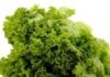 Planta minune care previne anemia Salata verde