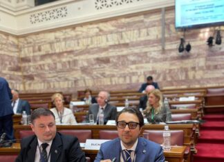 Alfred Laurențiu a participat la cea de-a 9-a Sesiune Plenară a Adunării Parlamentare a Procesului de Cooperare în Europa de Sud-Est