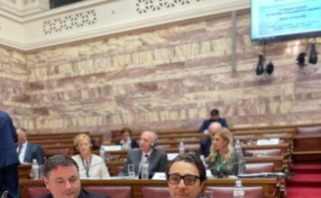 Alfred Laurențiu a participat la cea de-a 9-a Sesiune Plenară a Adunării Parlamentare a Procesului de Cooperare în Europa de Sud-Est