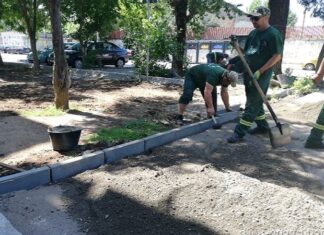 Primăria Sectorului 5: raport de activitate pentru perioada 30 mai – 3 iunie 2022