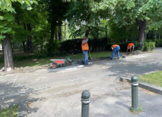 Începe marea „borduriadă” în Sectorul 1?