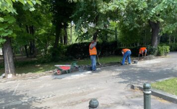 Începe marea „borduriadă” în Sectorul 1?