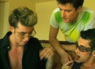 O-Zone- Cea mai îndrăgită formație autohtonă din 2000, prima care a înregistrat succes internațional