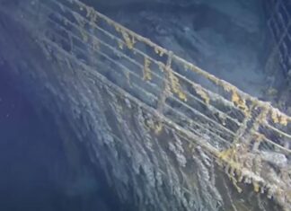 Există aproximativ trei milioane de epave în oceanele lumii. Cum influențează acestea ecosistemele din adâncuri Captură video/Youtube