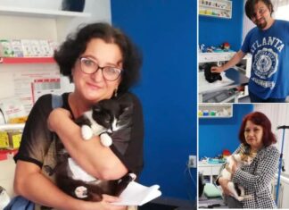 Campanie de sterilizare gratuită, pentru pisicile și cățeii din Suceava: ”Oamenii buni au înțeles că sterilizarea este unica metodă de-a rămâne civilizați și de a reduce abandonul” Foto: Facebook/Casa lui Patrocle