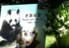 Cel mai bătrân urs panda din lume a fost eutanasiat Captură video: Facebook/INQUIRER.net