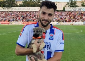 ”Umple golul din viaţa ta”: Fotbaliștii gălățeni au promovat căței din adăposturi Foto: Facebook/Help Lăbuș Galați