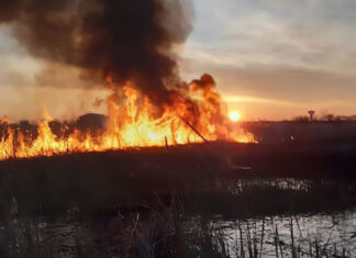 România arde! Zeci de hectare de teren agricol pârjolite! Județul Hunedoara sub zodia incendiilor