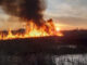 România arde! Zeci de hectare de teren agricol pârjolite! Județul Hunedoara sub zodia incendiilor