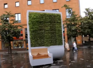 Inițiativă inedită: Copaci inteligenți, amplasați în Brașov copac inteligent