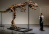 Scheletul unui dinozaur, vândut pentru suma de 6 milioane de dolari unui cumpărător anonim Gorgonzaur