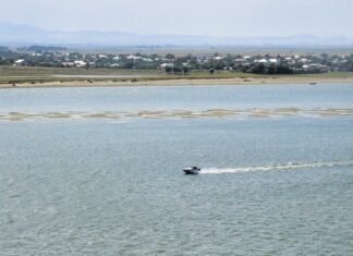 Seceta are efecte inedite la Galați: Insulă de nisip apărută în mijlocul Dunării Insula de nisip