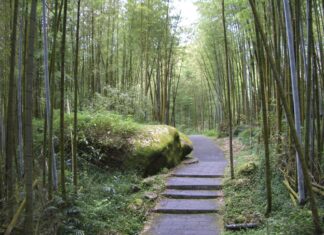 Există un traseu unic în lume care impune turiștilor să nu vorbească Foto: Pixabay