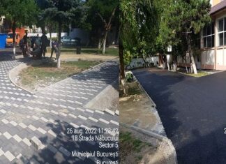 Primăria Sectorului 5: raport de activitate pentru perioada 22-26 august 2022