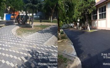 Primăria Sectorului 5: raport de activitate pentru perioada 22-26 august 2022