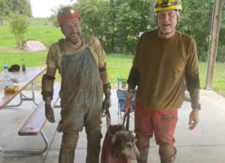 Un câine a fost salvat dintr-o peșteră unde a stat timp de două luni Captură video Youtube/FOX2