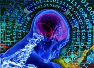 A fost creat neuronul artificial, de 1 milion de ori mai rapid decât cel din creierul uman Sursă foto: Pixabay