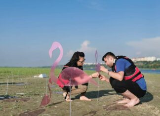 O colonie de păsări roz a apărut la Galați, pe insula din mijlocul Dunării Flamingio