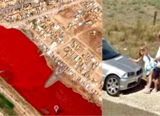 Google Maps introduce trei funcții noi google maps