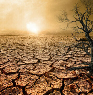 2022, cel mai călduros an pentru Spania Vara