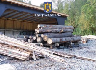 Polițiștii din Bistrița-Năsăud au confiscat cherestea în valoare de 172.000 de lei
