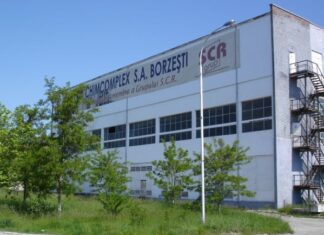 Combinatul Chimcomplex va disponibiliza aproape 400 de salariaţi, din cauza crizei energetice Chimcomplex