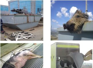 Alarmant: Bucureștenii aruncă mii tone de deșeuri în canalizare Desuri