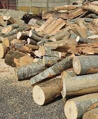 Probleme în asigurarea lemnelor de foc pentru populație, în județul Bistrița-Năsăud Lemn de foc