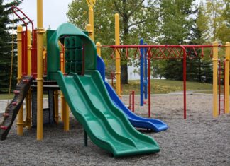 Ludoteca a fost aprobată vineri de Guvern