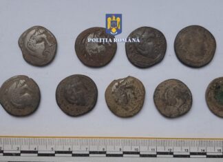 Tezaur monetar antic, descoperit într-o pădure din Alba