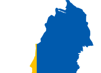 Suedia vrea condiţii mai stricte pentru obţinerea cetăţeniei