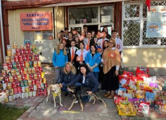 Mai mulți elevi din Galați au donat mâncare pentru cățeii din adăpostul ”Help Lăbuș” Sursă foto: Facebook/Help Lăbuș