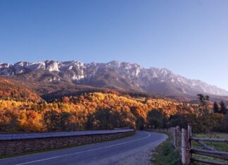 Romsilva a publicat ”o fotografie ce inspiră la făcut rucsacul, luat bocancii și urcat pe munte” Credit foto: Mircea Verghelet, Parcul Național Piatra Craiului