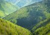 Cel mai mare parc național din Germania va colabora cu Fundația Conservation Carpathia Carpathia