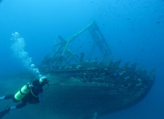 O epavă care datează din Al Doilea Război Mondial continuă să polueze, afectând microbiologia oceanului Sursă foto: Pixabay