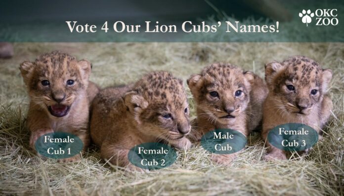 Sursă foto: Facebook/Oklahoma City Zoo and Botanical Garden