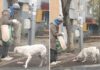 Un om fără adăpost cumpără mâncare pentru animalele străzii Sursă foto: Facebook/Casa lui Patrocle