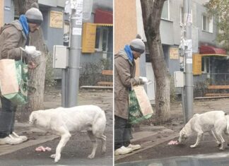 Un om fără adăpost cumpără mâncare pentru animalele străzii Sursă foto: Facebook/Casa lui Patrocle