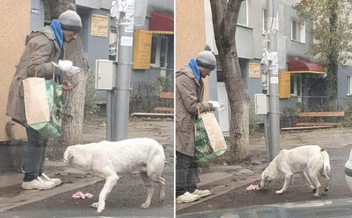 Sursă foto: Facebook/Casa lui Patrocle