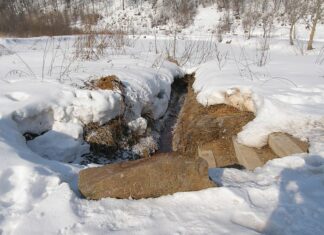 România va avea o platformă digitală a izvoarelor de apă minerală Izvor apa minerala