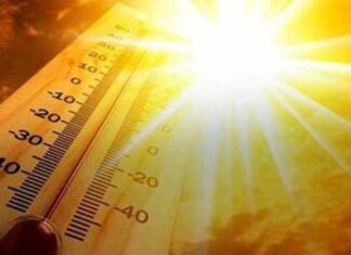 90.000 de europeni ar putea muri anual din cauza caniculei Canicula