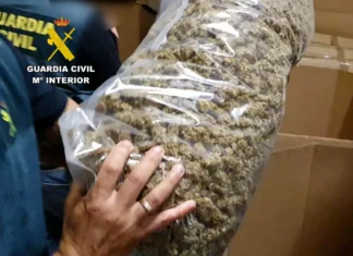 Șase români au câștigat sute de mii de lei din vânzarea drogurilor aduse din Spania Droguri