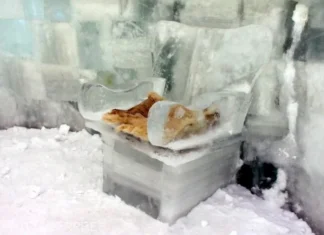 Hotelul de gheață de la Bâlea Lac, construit după doi ani Hotel de gheata