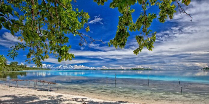 Insula Indonezia