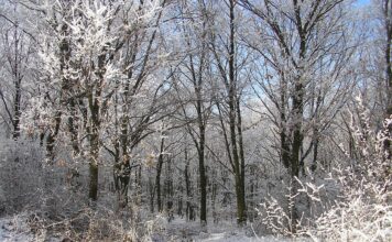Un ciclon polar va afecta România, începând de duminică Iarna