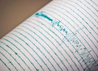 Directorul general al INFP, anunț privitor la cutremurul de marți: Este surprinzător că zona respectivă s-a activat cutremur